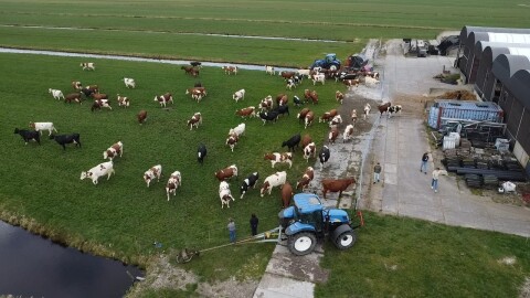 Oostdam onze boerderij 1