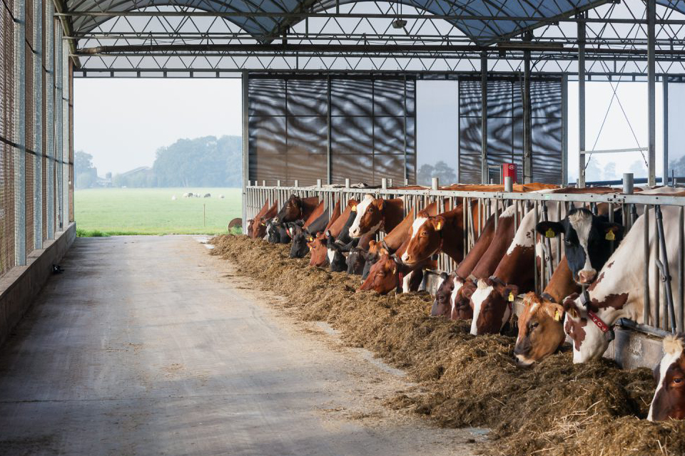 Oostdam   Serrestal